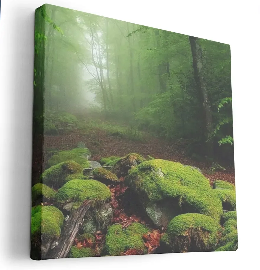 obraz-na-plotnie-80x80-m2p-las-07-canvas-wzory