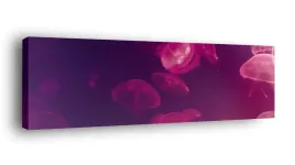 obraz-na-plotnie-145x45-m2p-ocean-17-canvas-wzory