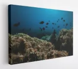 obraz-na-plotnie-100x75-m2p-ocean-12-canvas-wzory