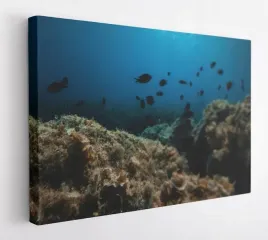 obraz-na-plotnie-100x75-m2p-ocean-12-canvas-wzory