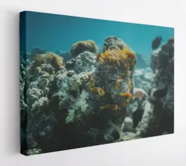 obraz-na-plotnie-100x75-m2p-ocean-06-canvas-wzory