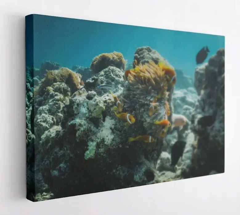 obraz-na-plotnie-100x75-m2p-ocean-06-canvas-wzory