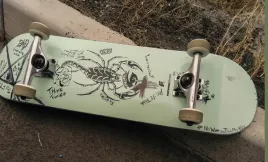 fototapeta-dmp-skateboard-08-254x184