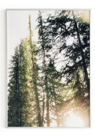 plakat-a4-21x30-w-ramie-m2p-las-26