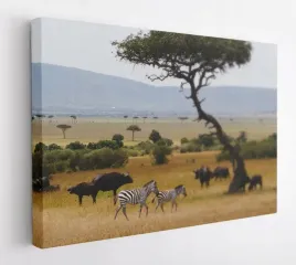 obraz-na-plotnie-100x75-m2p-sawanna-02-canvas