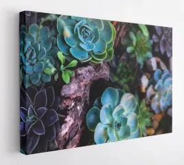 obraz-na-plotnie-100x75-m2p-rosliny-16-canvas