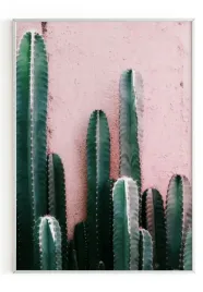 plakat-a4-21x30-w-ramie-m2p-kaktus-10