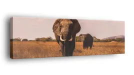 obraz-na-plotnie-145x45-m2p-sawanna-01-canvas