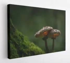 obraz-na-plotnie-100x75-m2p-las-11-canvas-wzory