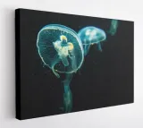 obraz-na-plotnie-100x75-m2p-ocean-19-canvas-wzory
