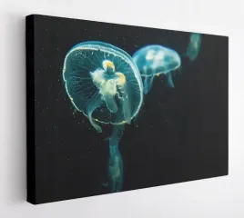 obraz-na-plotnie-100x75-m2p-ocean-19-canvas-wzory