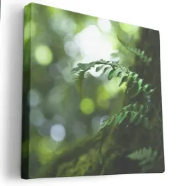 obraz-na-plotnie-40x40-m2p-rosliny-10-canvas-wzory