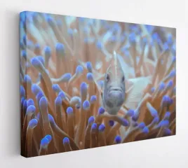 obraz-na-plotnie-100x75-m2p-ocean-10-canvas-wzory