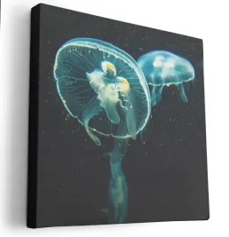 obraz-na-plotnie-80x80-m2p-ocean-19-canvas-wzory