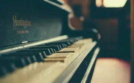 fototapeta-dmp-instrumenty-02-368x254
