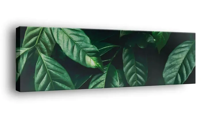 obraz-na-plotnie-145x45-m2p-rosliny-01-canvas