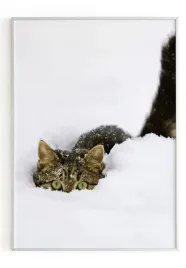 plakat-bez-ramy-a5-13x18-m2p-kot-05