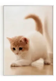 plakat-a3-30x40-w-ramie-m2p-kot-03