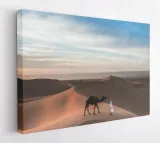 obraz-na-plotnie-100x75-m2p-pustynia-17-canvas