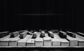 fototapeta-dmp-instrumenty-04-312x219