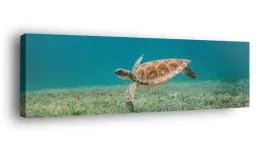 obraz-na-plotnie-145x45-m2p-ocean-02-canvas-wzory