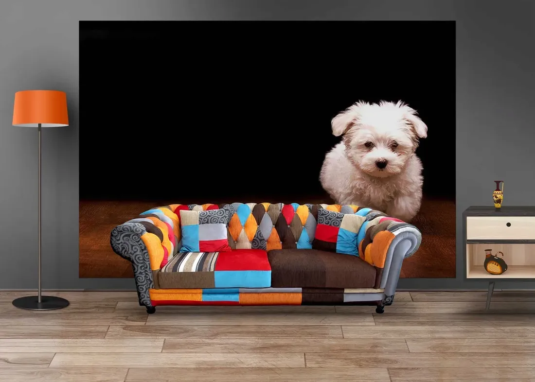 fototapeta-m2p-psy-02-152x104