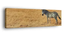 obraz-na-plotnie-145x45-m2p-sawanna-10-canvas