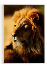 plakat-a3-30x40-w-ramie-m2p-lew-04
