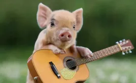 fototapeta-m2p-zwierzeta-10-416x254