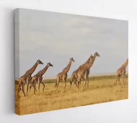 obraz-na-plotnie-100x75-m2p-sawanna-09-canvas