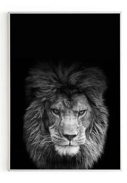 plakat-bez-ramy-a3-30x40-m2p-lew-06