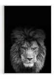 plakat-bez-ramy-a3-30x40-m2p-lew-06