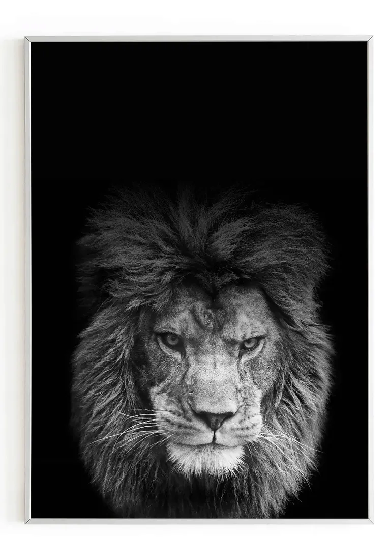 plakat-bez-ramy-a3-30x40-m2p-lew-06