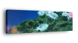 obraz-na-plotnie-145x45-m2p-ocean-16-canvas-wzory