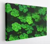 obraz-na-plotnie-100x75-m2p-rosliny-12-canvas