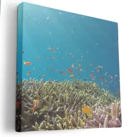 obraz-na-plotnie-40x40-m2p-ocean-05-canvas-wzory