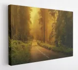 obraz-na-plotnie-100x75-m2p-las-01-canvas-wzory