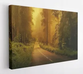 obraz-na-plotnie-100x75-m2p-las-01-canvas-wzory