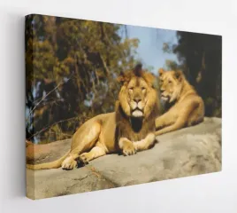 obraz-na-plotnie-100x75-m2p-sawanna-07-canvas