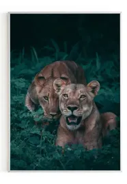 plakat-bez-ramy-a5-13x18-m2p-sawanna-23
