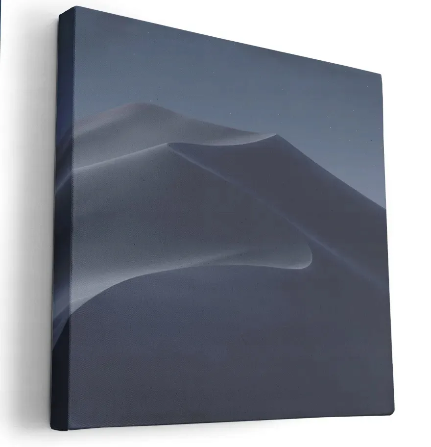 obraz-na-plotnie-80x80-m2p-pustynia-14-canvas
