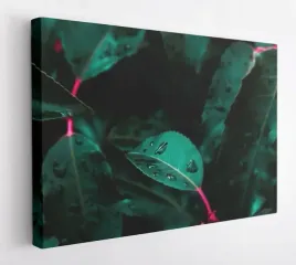 obraz-na-plotnie-100x75-m2p-rosliny-04-canvas