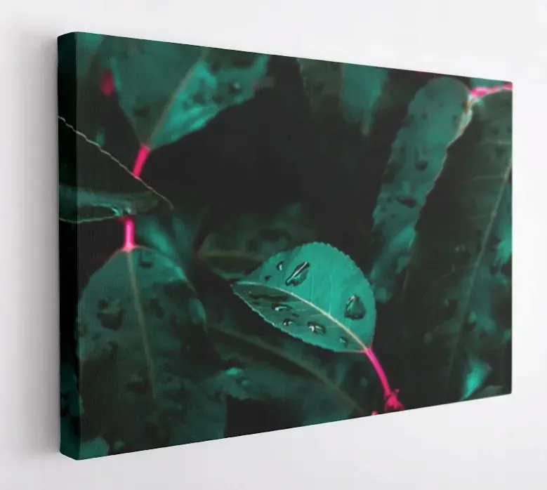 obraz-na-plotnie-100x75-m2p-rosliny-04-canvas