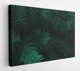 obraz-na-plotnie-100x75-m2p-rosliny-02-canvas