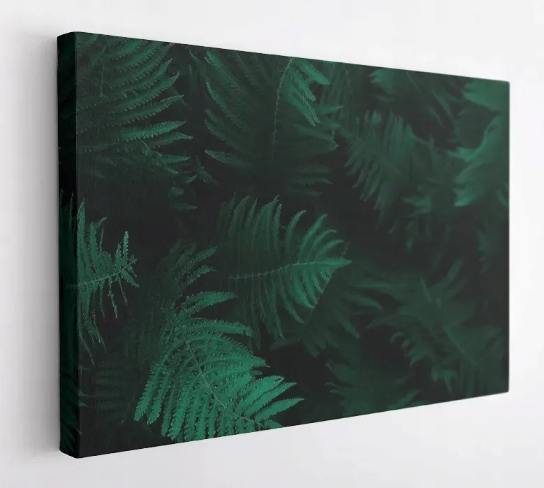 obraz-na-plotnie-100x75-m2p-rosliny-02-canvas