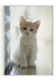 plakat-bez-ramy-a5-13x18-m2p-kot-02