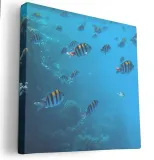 obraz-na-plotnie-80x80-m2p-ocean-09-canvas-wzory