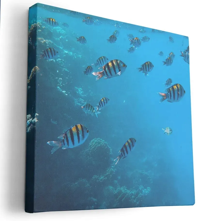 obraz-na-plotnie-80x80-m2p-ocean-09-canvas-wzory