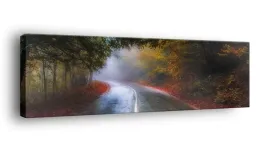 obraz-na-plotnie-145x45-m2p-las-04-canvas-wzory