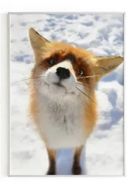 plakat-a4-21x30-w-ramie-m2p-lis-06